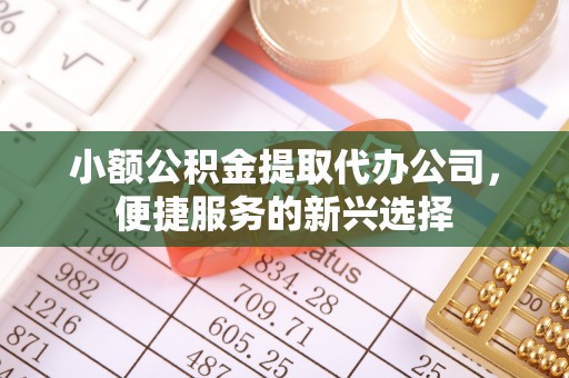 寿丰小额公积金提取代办公司，便捷服务的新兴选择