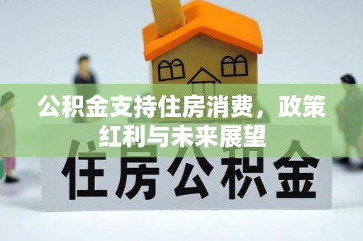 寿丰公积金支持住房消费，政策红利与未来展望