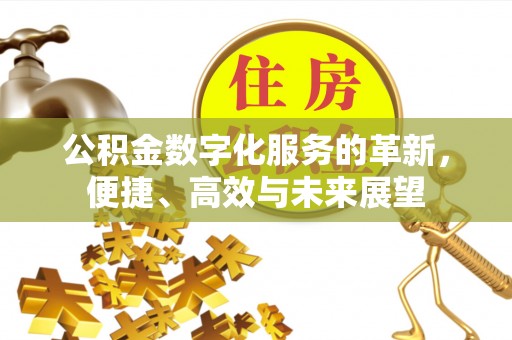 寿丰公积金数字化服务的革新，便捷、高效与未来展望