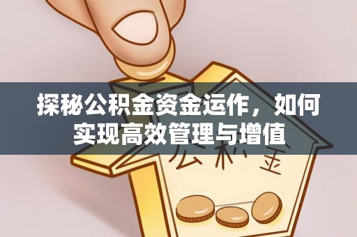 寿丰探秘公积金资金运作，如何实现高效管理与增值