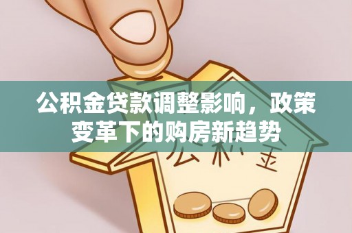 寿丰公积金贷款调整影响，政策变革下的购房新趋势