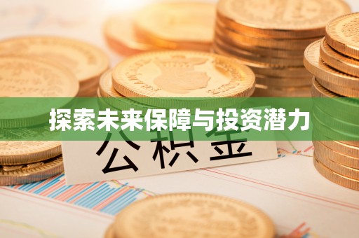 寿丰探索未来保障与投资潜力