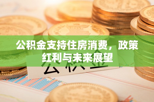 寿丰公积金支持住房消费，政策红利与未来展望