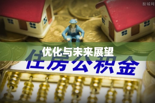 寿丰优化与未来展望