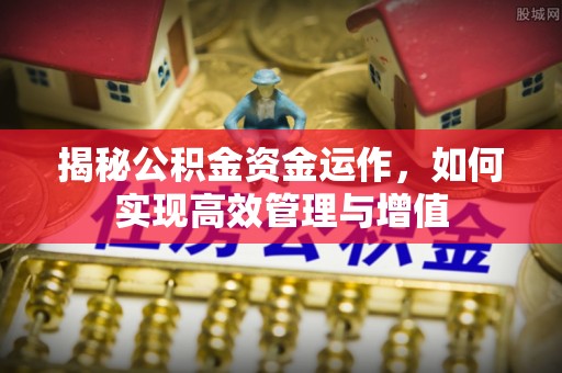 寿丰揭秘公积金资金运作，如何实现高效管理与增值