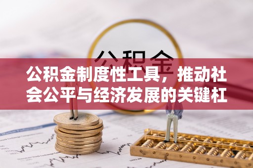寿丰公积金制度性工具，推动社会公平与经济发展的关键杠杆