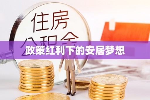 寿丰政策红利下的安居梦想