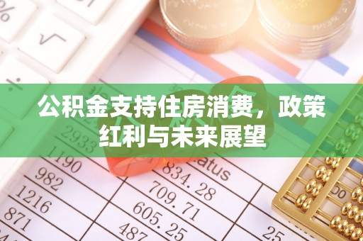 寿丰公积金支持住房消费，政策红利与未来展望