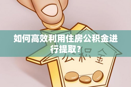 寿丰如何高效利用住房公积金进行提取？
