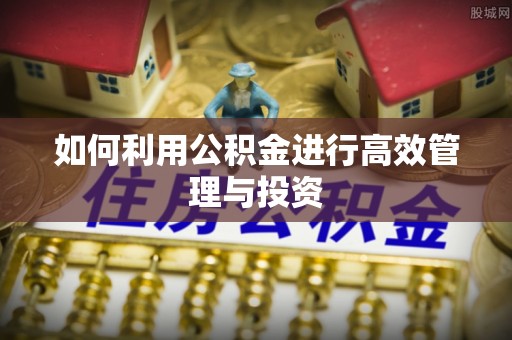 寿丰如何利用公积金进行高效管理与投资
