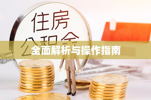 寿丰全面解析与操作指南