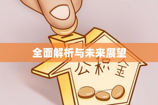 寿丰全面解析与未来展望