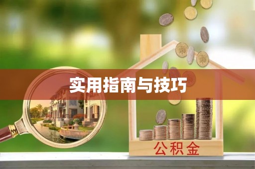 寿丰实用指南与技巧