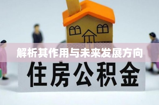 寿丰解析其作用与未来发展方向