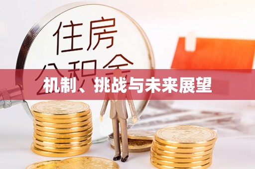 寿丰机制、挑战与未来展望