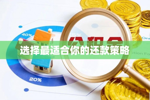 寿丰选择最适合你的还款策略