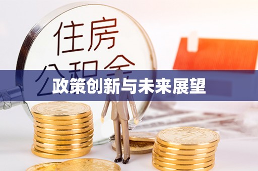 寿丰政策创新与未来展望