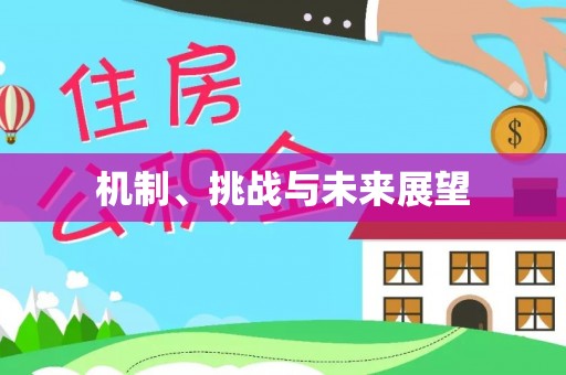 寿丰机制、挑战与未来展望
