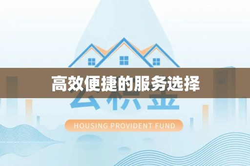 寿丰高效便捷的服务选择