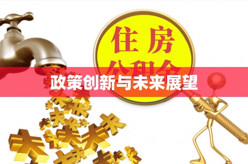 寿丰政策创新与未来展望