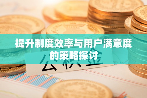 寿丰提升制度效率与用户满意度的策略探讨