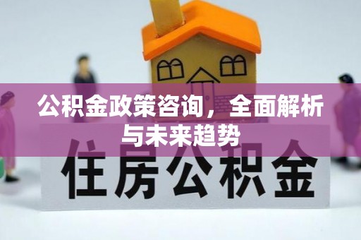 寿丰公积金政策咨询，全面解析与未来趋势