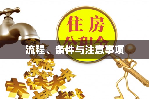 寿丰流程、条件与注意事项