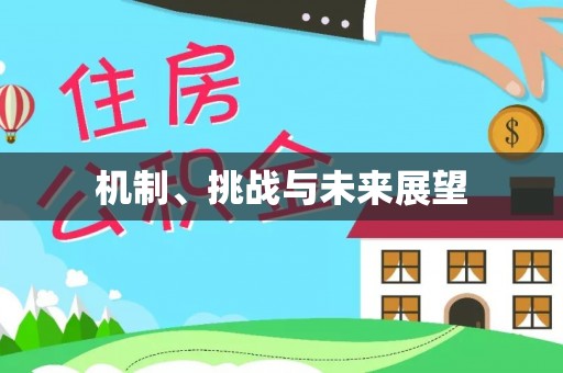 寿丰机制、挑战与未来展望